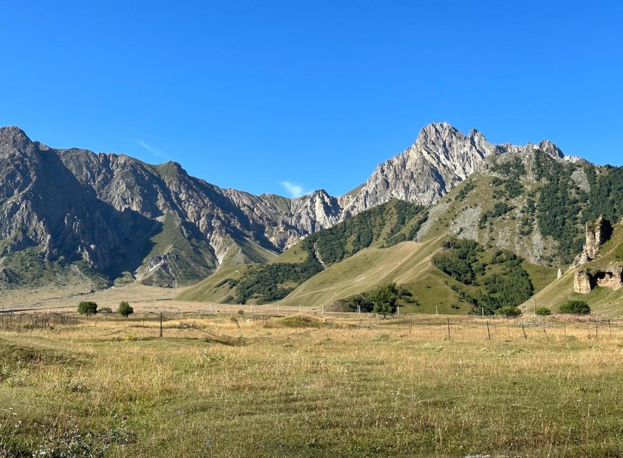 Alpine Escape Kazbegi Villa Bagian luar foto